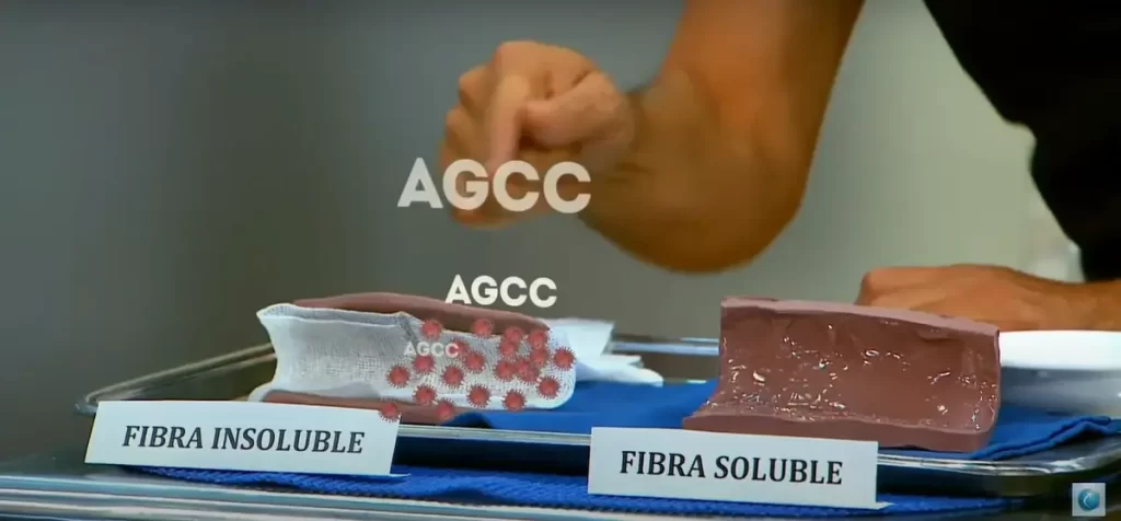 Carbohidratos buenos - fibra soluble vs. fibra insoluble