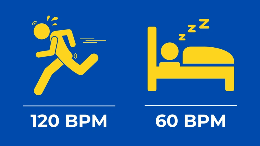 Ritmo cardiaco normal durmiendo vs corriendo